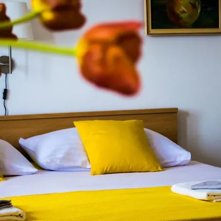 Blagaic 公寓 马斯林尼察