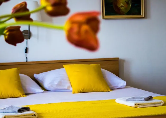 Blagaic Apartment Maslinica